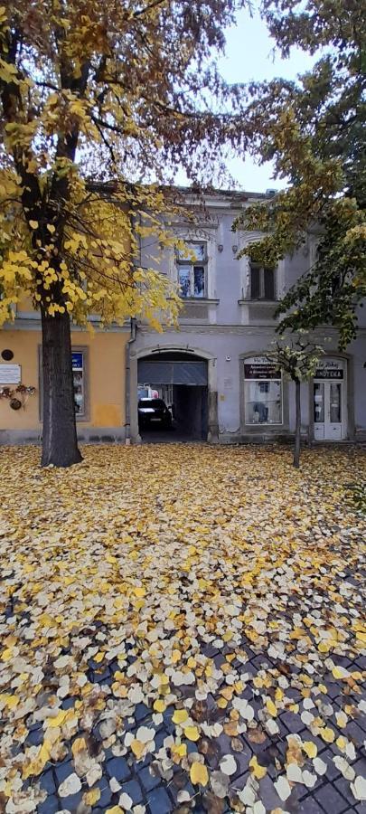 Via Tokaj Vendeghaz Apartment Satoraljaujhely Exterior photo